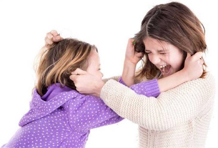 Streitigkeiten zwischen Kindern in der Familie sind inakzeptabel!