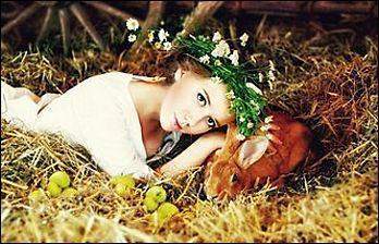 Foto: pixabay.com