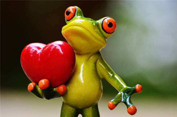 Ein Frosch mit Herz