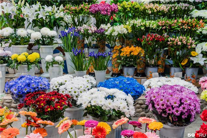 Blumen sind eine positive Emotion für eine Frau