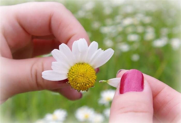 Warum Liebe unerwidert ist