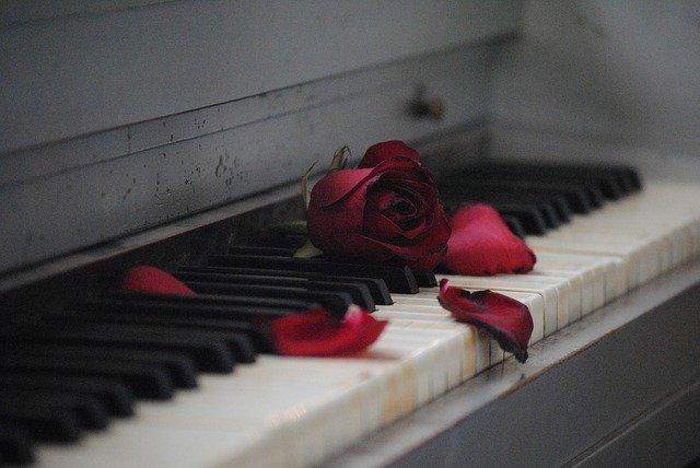Eine verwelkte Rose auf dem Klavier