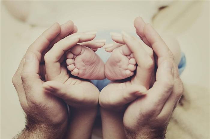 Der Entwicklungszyklus der Familie