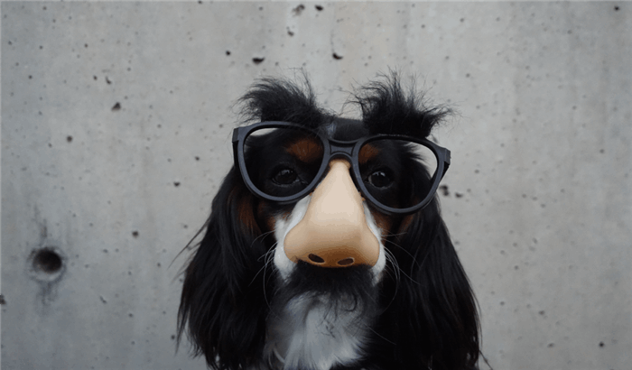 Hundemaske Stress und Angst in einem neuen Job