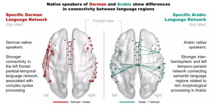 Verschiedene Gehirne in verschiedenen Sprachen Psychotherapie, Innerer Dialog, Selbstentwicklung, Gehirn, Kognitiv